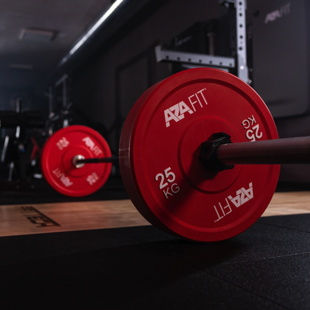 Bumper Plates - Image 3