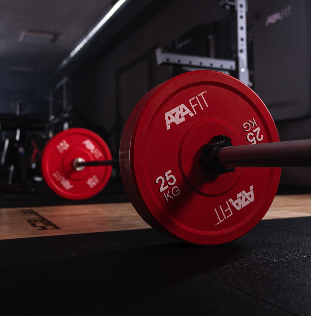 Bumper Plates - Image 3