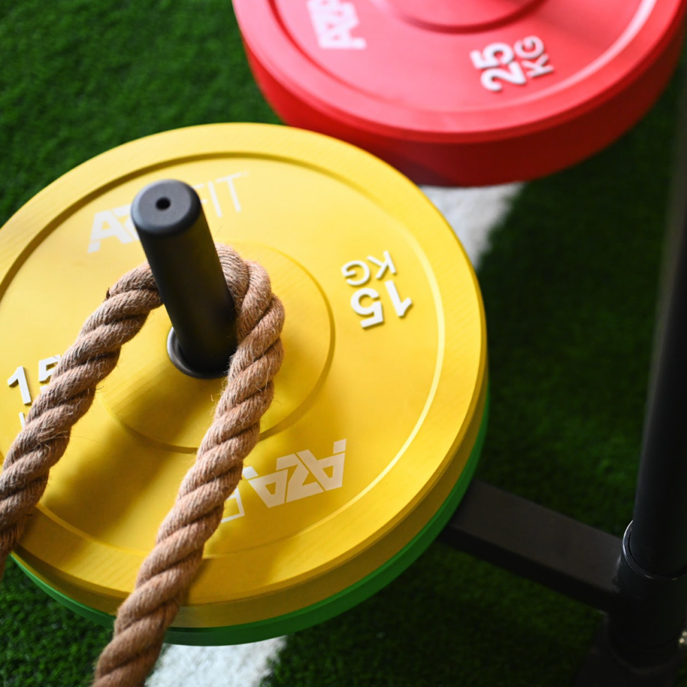 Bumper Plates - Image 4