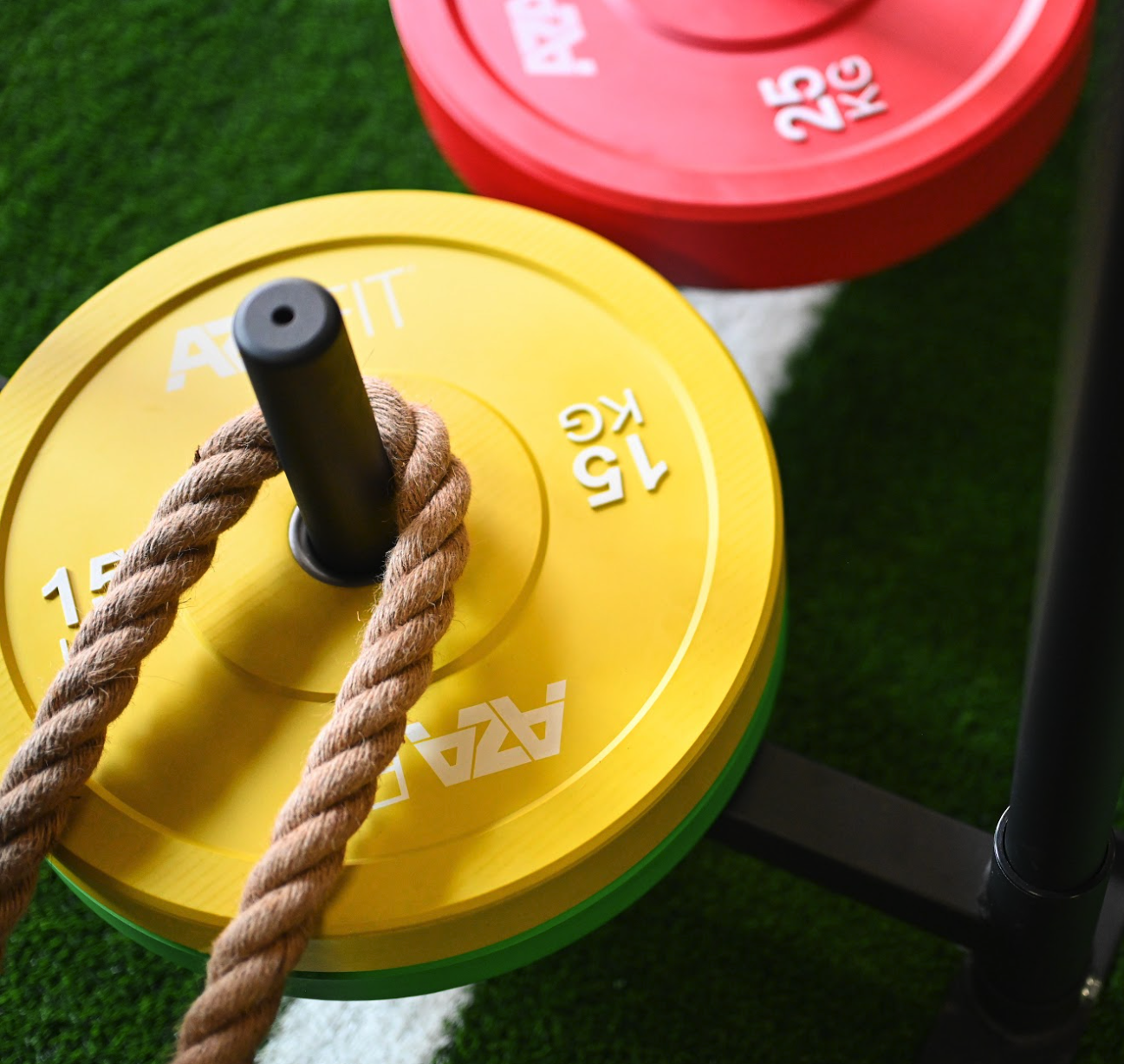 Bumper Plates - Image 4
