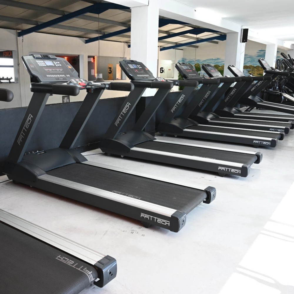 Passadeira Run - Image 4