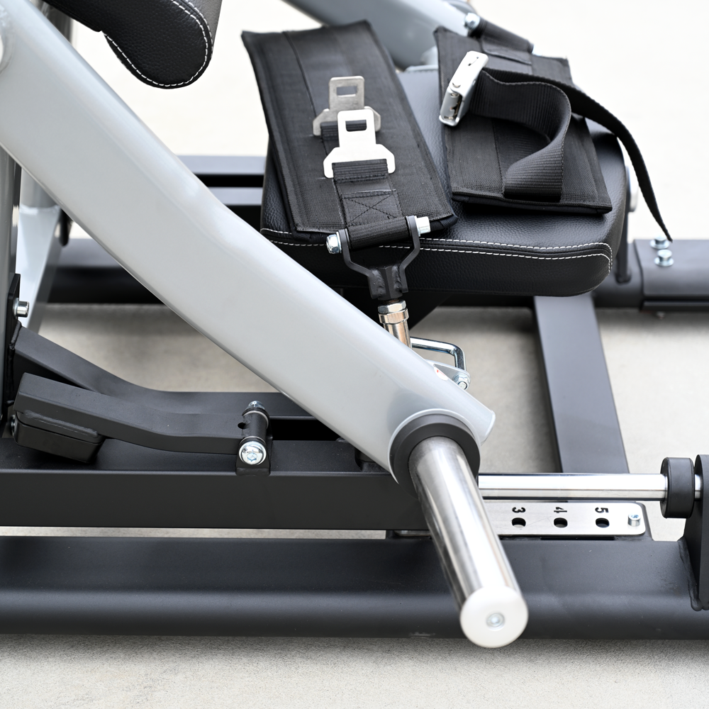 Hip Thrust - Image 17