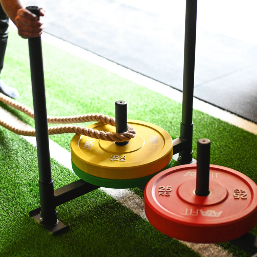 SLED - Image 7